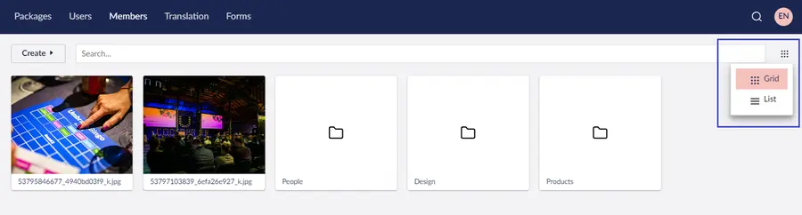 Umbraco Organizzare e modificare gli elementi multimediali Tipo di vista