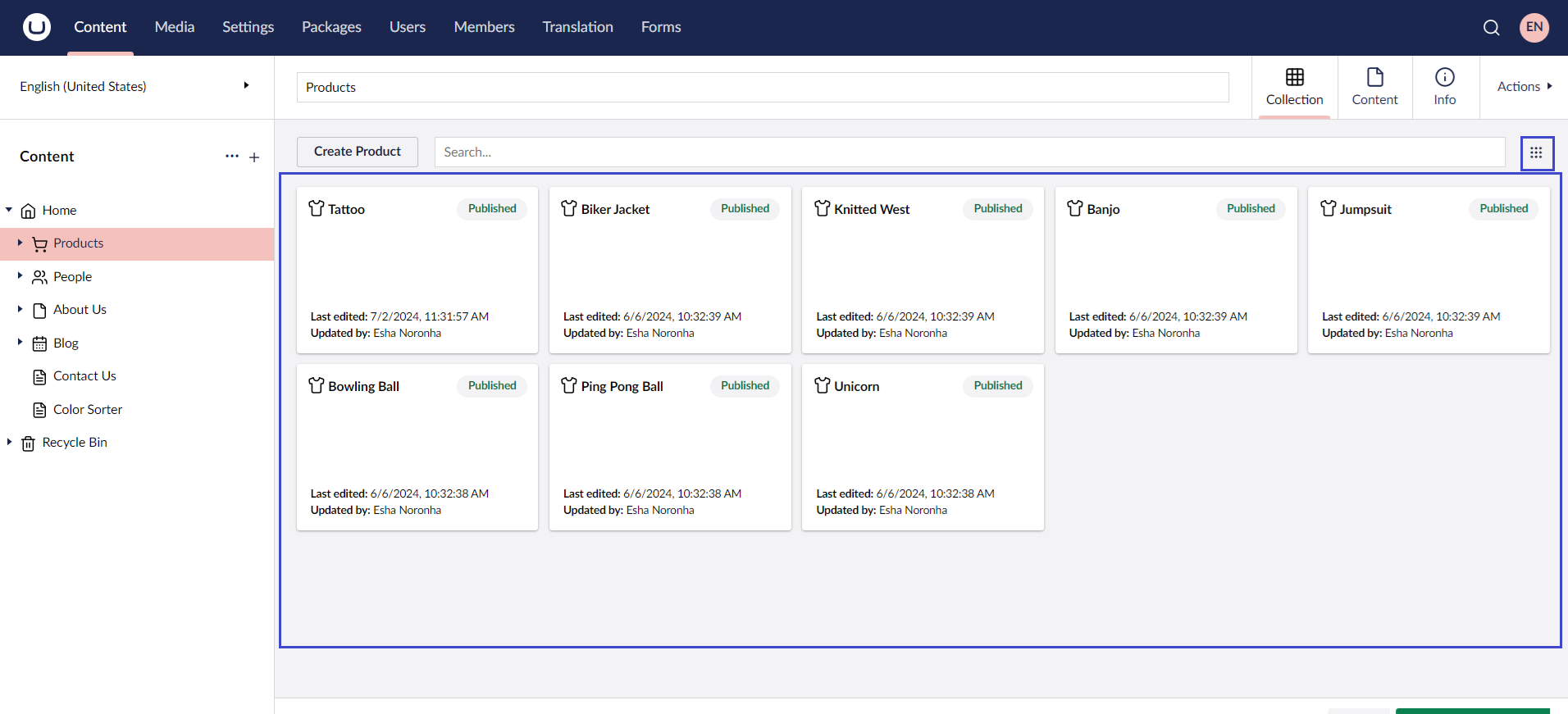 Umbraco Visualizzazione del layout della pagina Grid
