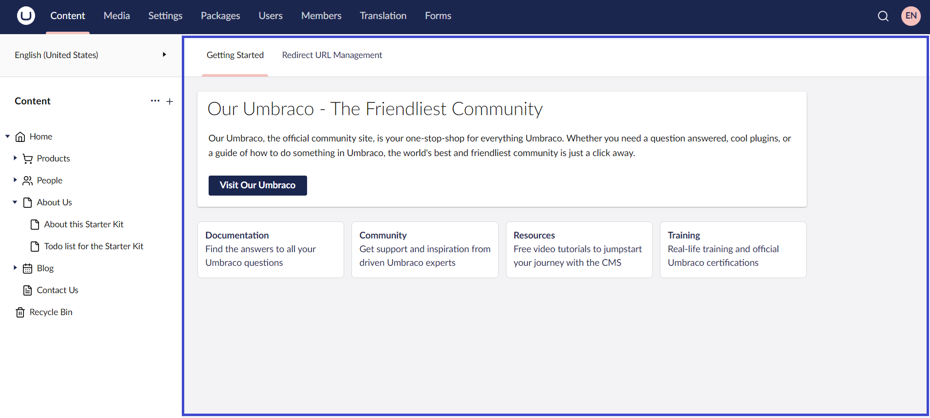 Umbraco Backoffice Dashboard